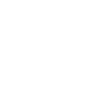 Icon - Auge